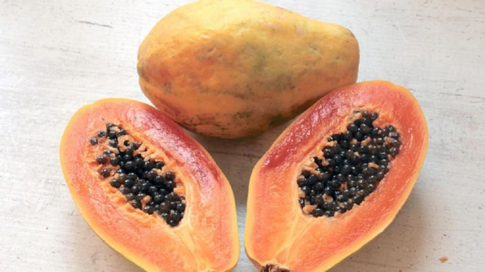 ভুল করেও পেঁপে খাওয়া উচিত নয় এঁদের, হতে পারে বড়সড় ক্ষতি ভুল করেও পেঁপে খাওয়া উচিত নয় এঁদের, হতে পারে বড়সড় ক্ষতি