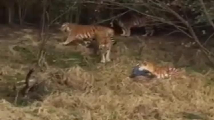 Facebook user Facebook user