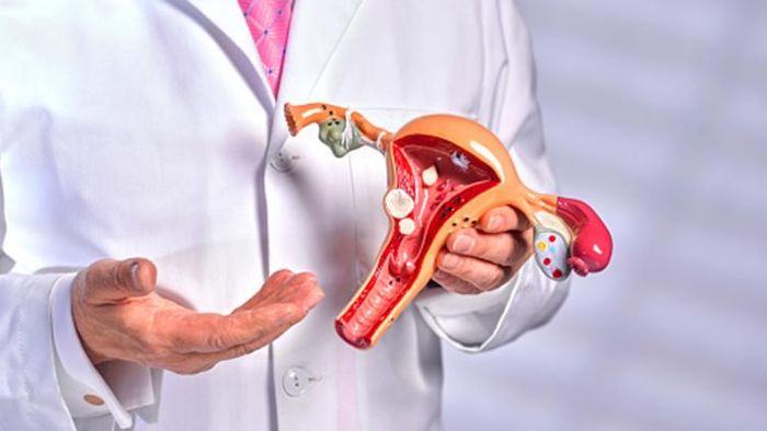 মহিলাদের শারীরিক সমস্যার দিকে বিশেষ নজর দেওয়া জরুরি