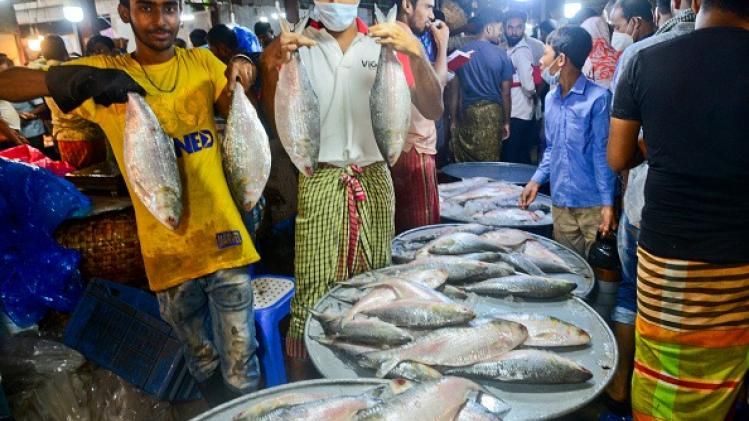 বর্ষশেষে ইলিশ