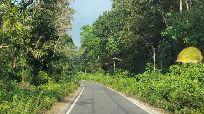 ভ্রমণ