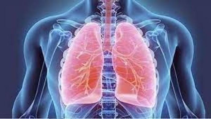বাড়িতে বসেই ফুসফুস মেরামতি করুন