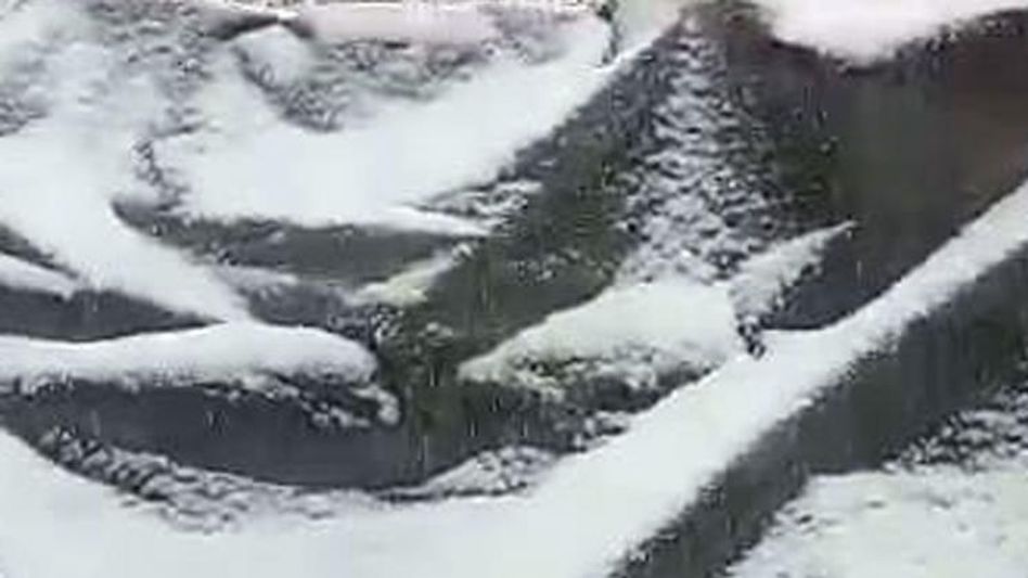 তুষারে ঢাকছে দার্জিলিং,অথচ পর্যটক ছুটছে সিকিম, নেপাল, ভুটানে তুষারে ঢাকছে দার্জিলিং,অথচ পর্যটক ছুটছে সিকিম, নেপাল, ভুটানে