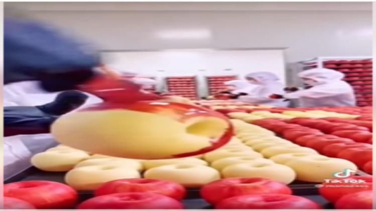 ফ্যাক্ট চেক- চীনে চকলেট তৈরির ভিডিও ছড়ালো কৃত্তিম আপেল তৈরির নামে  ফ্যাক্ট চেক- চীনে চকলেট তৈরির ভিডিও ছড়ালো কৃত্তিম আপেল তৈরির নামে