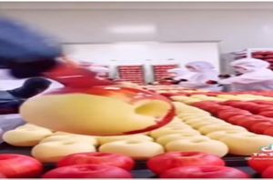 Facebook user Facebook user