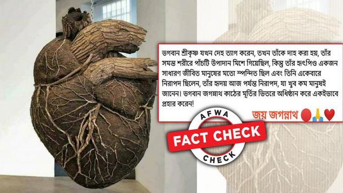 হৃৎপিণ্ডের ছবিটি কোথাকার?