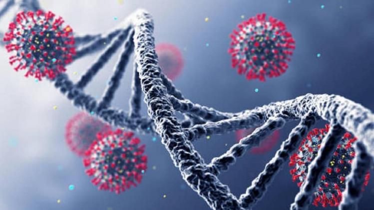 NeoCoV কি COVID-এর নতুন ভ্যারিয়েন্ট? কতটা ভয়ানক?