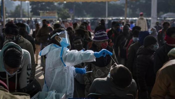 রাজ্যে কমল সংক্রমণ হার।