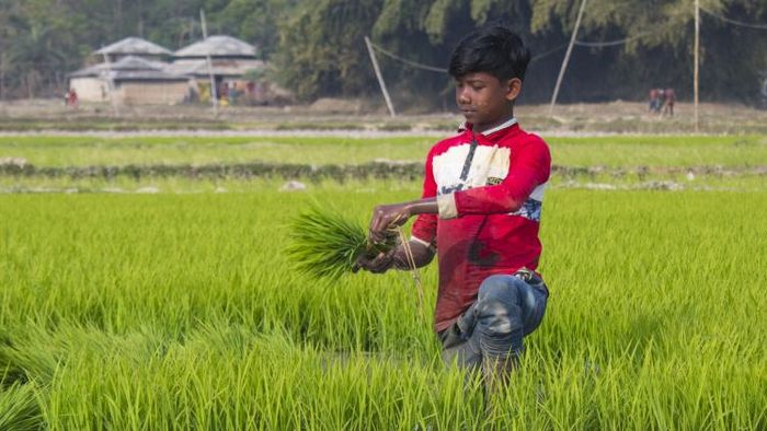 বাজেট ২০২২