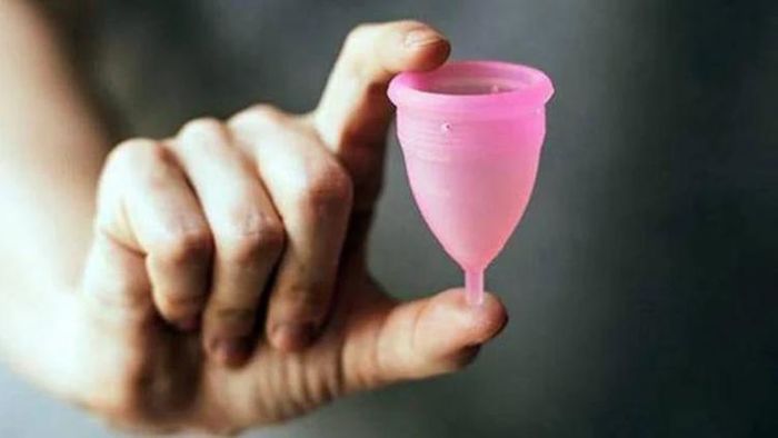 ইতিহাসে কেরলের কুম্বালঙ্গি গ্রাম (প্রতীকী ছবি)