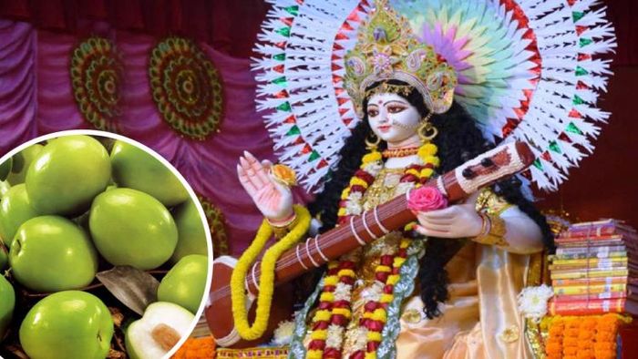 সরস্বতী পুজোর আগে কুল খেতে নেই কেন?