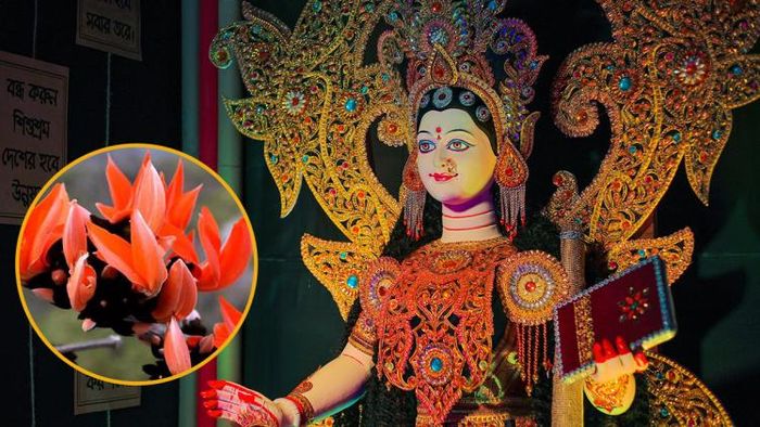 সরস্বতী পুজোয় পলাশ ফুল থাকা আবশ্যক