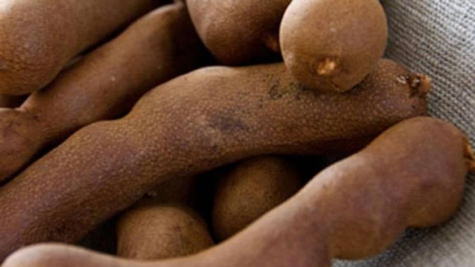 Jinsiy aloqa ona oglini sikadi Porno ona va qizi sorish Dick video