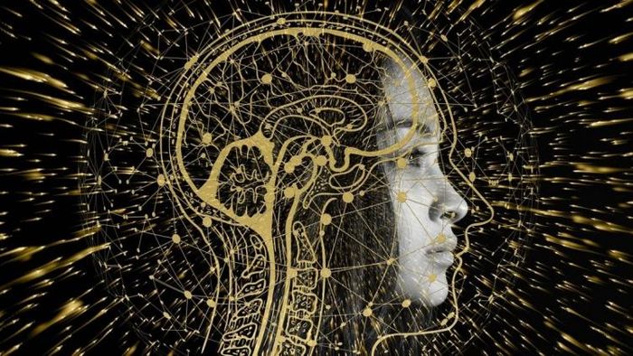 গাড়ির স্বাস্থ্য পরীক্ষায় স্বয়ংক্রিয় ব্যবস্থার দিকে হাঁটছে রাজ্য (প্রতীকী ছবি)