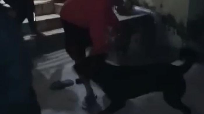 কুকুরের আক্রমণ