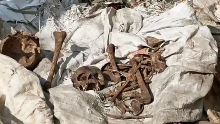 উদ্ধার কঙ্কাল