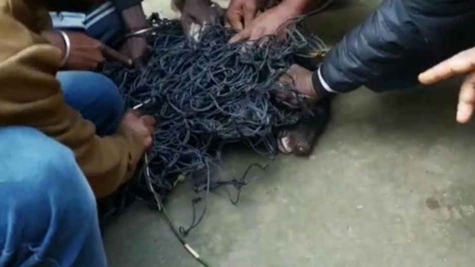 খাঁচাবন্দি করে ছাড়তে গিয়ে উল্টো ভাল্লুকের তাড়া খেলেন বনকর্মীরা, তারপর? খাঁচাবন্দি করে ছাড়তে গিয়ে উল্টো ভাল্লুকের তাড়া খেলেন বনকর্মীরা, তারপর?