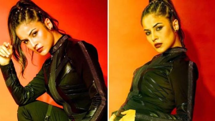 শেহনাজ গিল