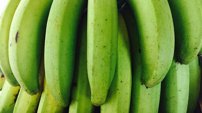 কাঁচা কলা হল পটাসিয়ামের ভান্ডার যা শুধু রোগ প্রতিরোধ ক্ষমতাই শক্তিশালী করে না, সারাদিন শরীরকে সজীব রাখে