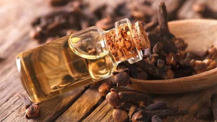 লবঙ্গের তেলে রয়েছে অনেক গুণ (প্রতীকী ছবি)