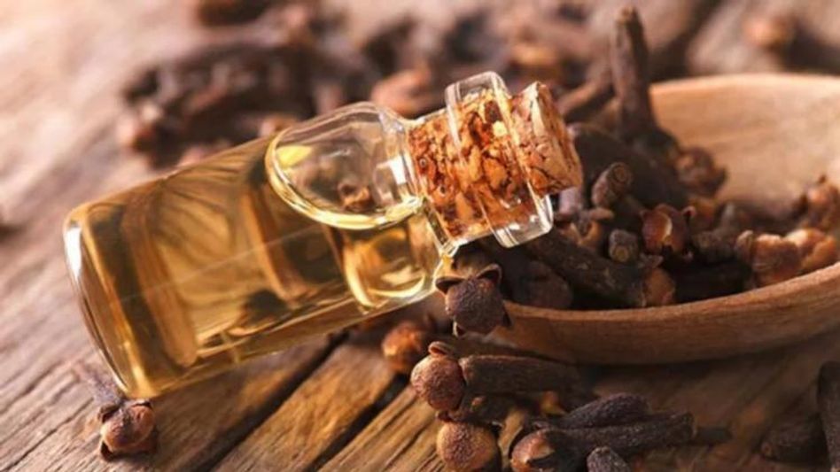 চকচকে ত্বক পেতে লবঙ্গের তেল এককথায় ম্যাজিক চকচকে ত্বক পেতে লবঙ্গের তেল এককথায় ম্যাজিক