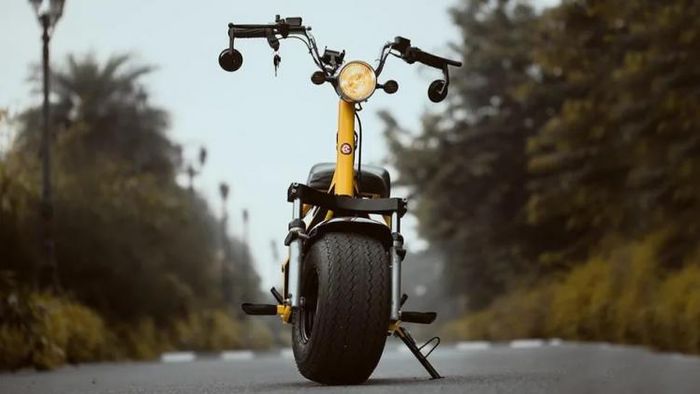 দেখতে মিষ্টি হলেও কাজে দারুণ