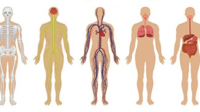 প্রতীকী ছবি