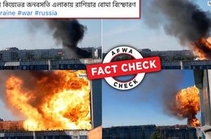 Social media users Social media users