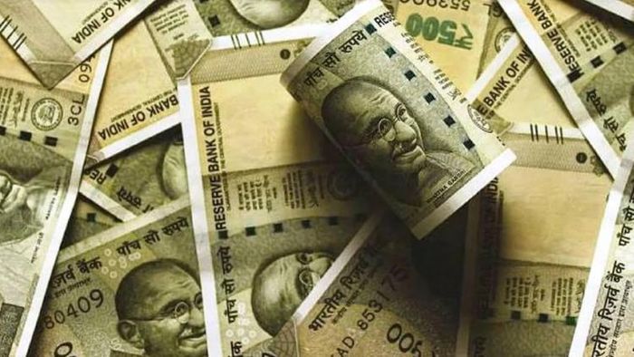 পেনি স্টকে বিনিয়োগ করে মালামাল!