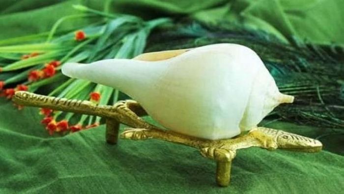 শঙ্খ/প্রতীকী ছবি