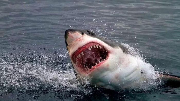 প্রতীকী ছবি