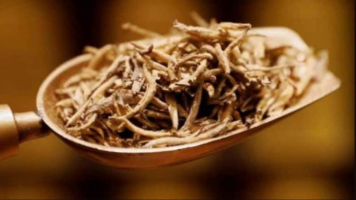 প্রতীকী ছবি