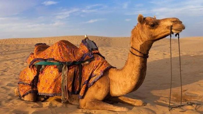 ইউপিএসসি-র ইন্টারভিউ রীতিমতো কঠিন (প্রতীকী ছবি)