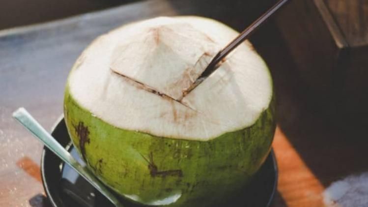 রোগ নিরাময়ে বিপুল কার্যকর ডাবের জল, কখন খেলে মিলবে উপকারিতা?