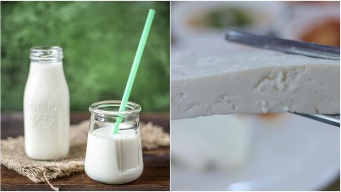 দুধ না দই কোনটা বেশি উপকারী