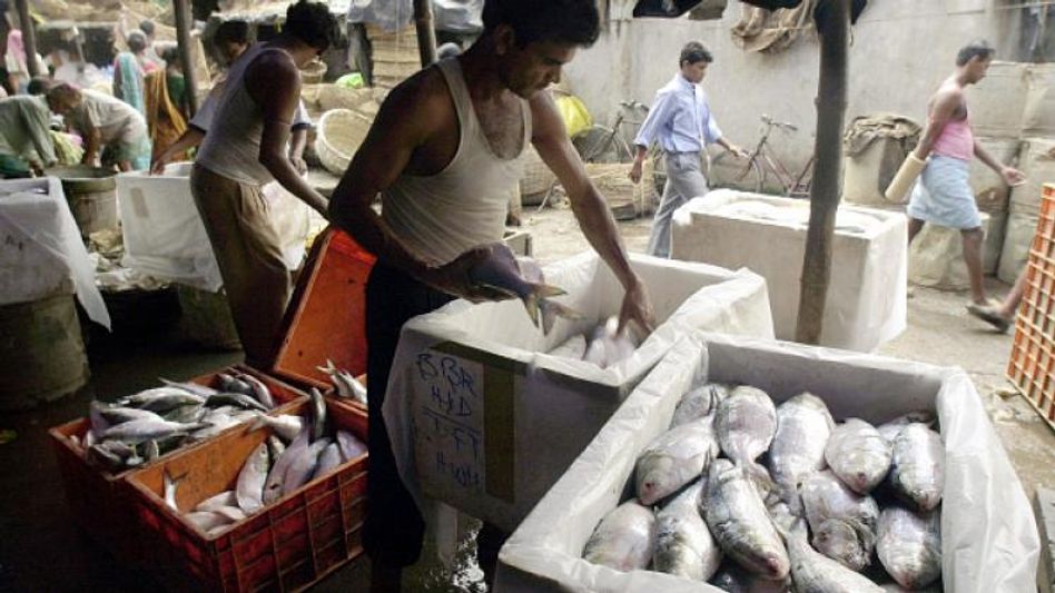 পুঁটি, মৌরলার দামে ঘরে ঘরে ইলিশ পৌঁছবে বাংলাদেশ, এ বাংলার ভাগ্যে কী? পুঁটি, মৌরলার দামে ঘরে ঘরে ইলিশ পৌঁছবে বাংলাদেশ, এ বাংলার ভাগ্যে কী?