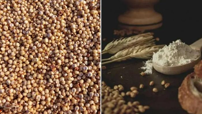 ডায়াবিটিস হলে খান জোয়ারের রুটি।