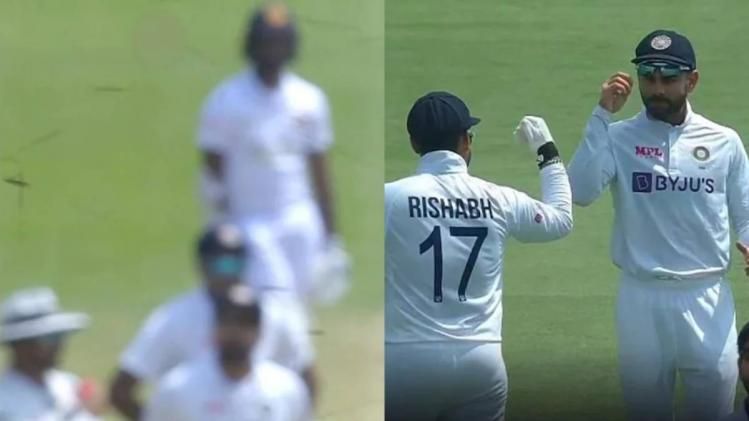 ডে-নাইট টেস্টে মৌমাছির আক্রমণ, কয়েক মিনিটের জন্য ম্যাচ বন্ধ