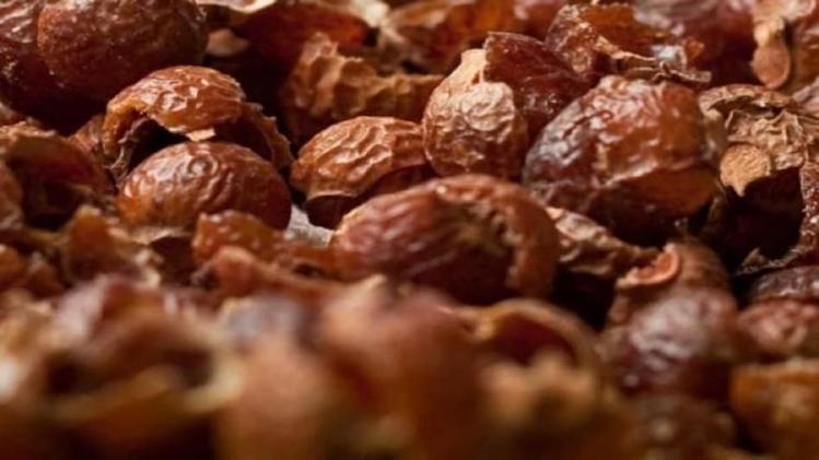 গয়নার হারানো দীপ্তি ফিরিয়ে আনে রিঠার জল, আর কী অসাধ্য সাধন করে? জেনে নিন