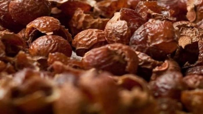 রিঠার ব্যবহার