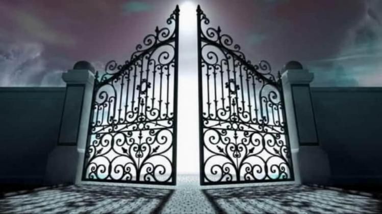 এমন গেট লাগালে ব্যবসায় প্রচুর উন্নতি হবে, বাড়বে টার্নওভার