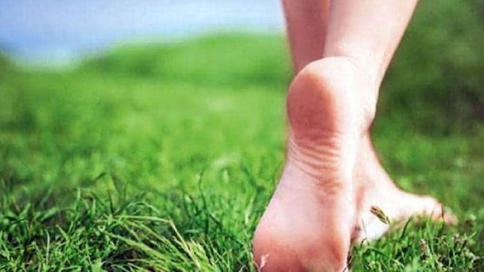 ঘাসে হাঁটার উপকারিতা। প্রতীকী ছবি