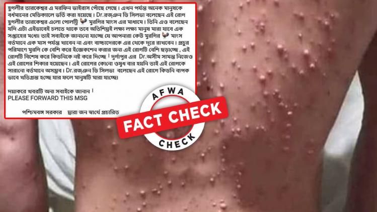 ফ্যাক্ট চেক: তারকেশ্বরে মুরগির দেহে মরফিন ভাইরাসের হানা! গুজব ছড়াচ্ছে সোশ্যাল মিডিয়ায়
