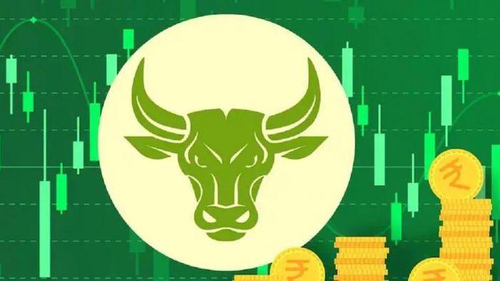 Best Multibagger Stock: পাঁচ মাসেই ব্যাপক রিটার্ন।