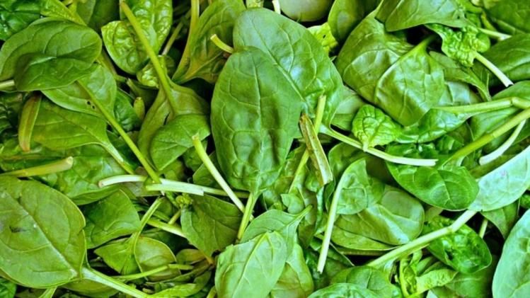 Spinach Benefits: পালং শাক শরীরে 'মিরাকল', কতটা খাবেন?