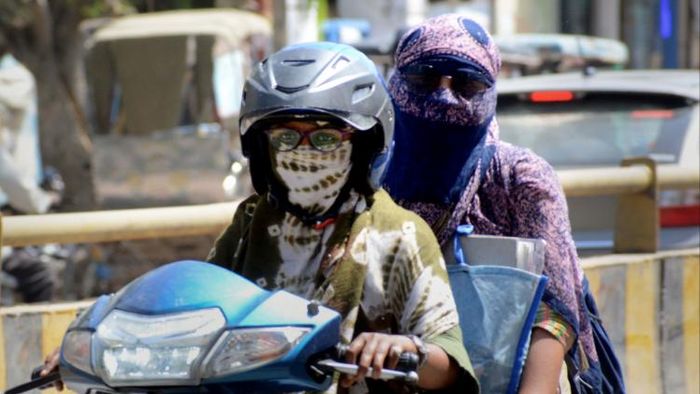 ফাইল ছবি