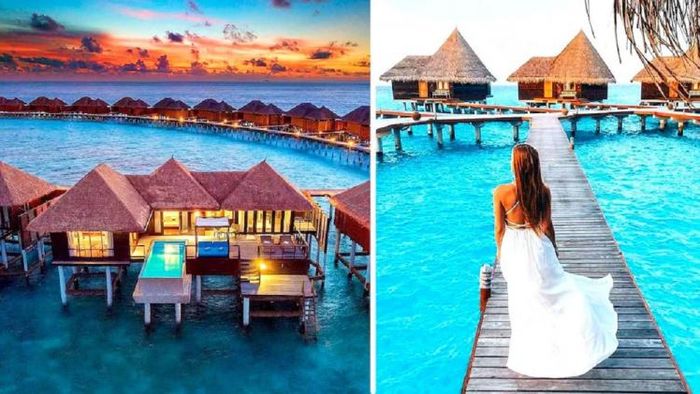 ছবি সূত্র-সোশ্যাল মিডিয়া