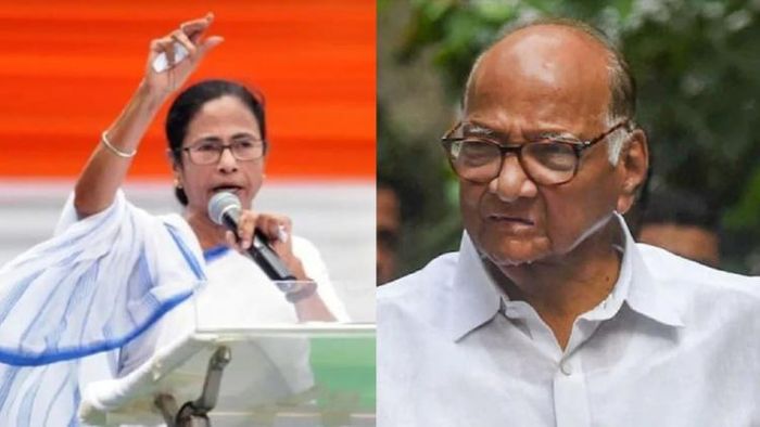 মমতা বন্দ্যোপাধ্যায় ও শরদ পাওয়ার