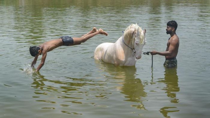 ফাইল ছবি