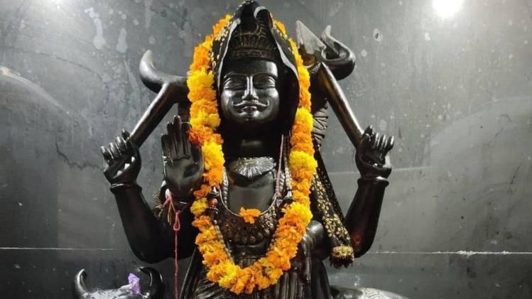 Shani Dev: চাকরি-রোজগারে বাধা? শনিদেবকে প্রসন্ন করলেই আসবে চরম উন্নতি, দেখুন উপায়